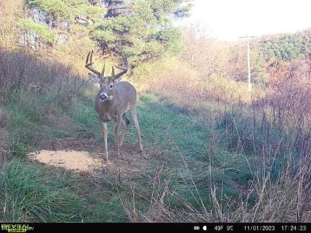 Virginia Township - Residential