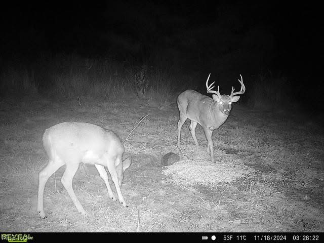 Virginia Township - Residential