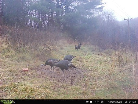 Virginia Township - Residential