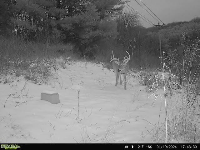 Virginia Township - Residential