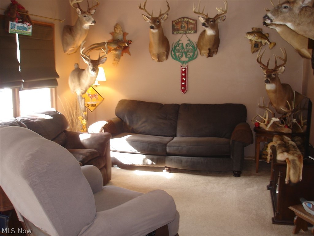 M V N 1 - Residential