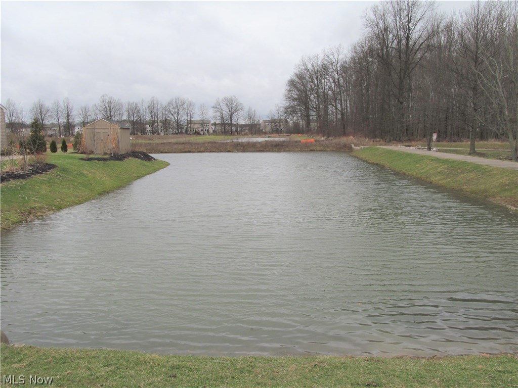 Wheaton Farms Ph 02 - Residential