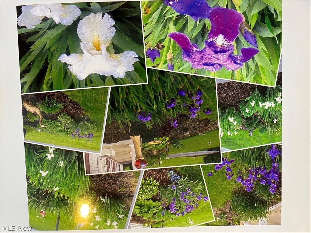 Westview Estates - Residential