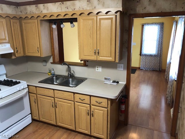 Willowick Park Allotment - Residential Lease