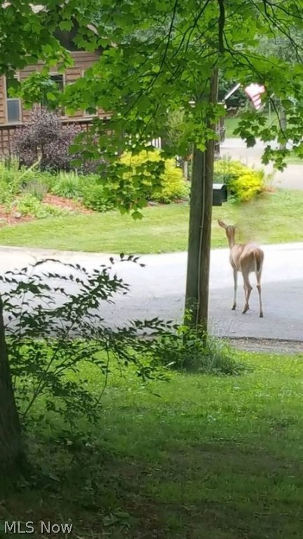 Shore Acres 04 - Residential