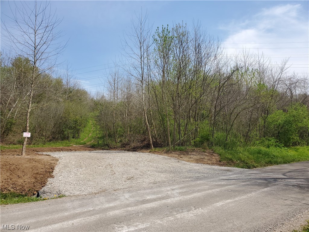 Approx. 24 acres north of Zanesville for sale! It is mostly wooded with a couple food plots accesed with trails through out the property. There are 2 elevated box blinds and a Banks deer feeder all setup with good stand access. This property is adjacent to Tri Valley Wildlife area which will give even more hunting options. Food plots are planted ready to go! If you are looking for a hunting property that is ready for this fall check this one out! It has approx. 1000 ft of road frontage also has potential building site. Give us a call today 330 600 0695.