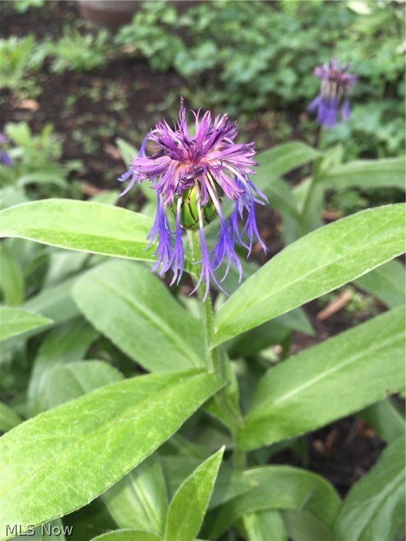 Westward Ho - Residential