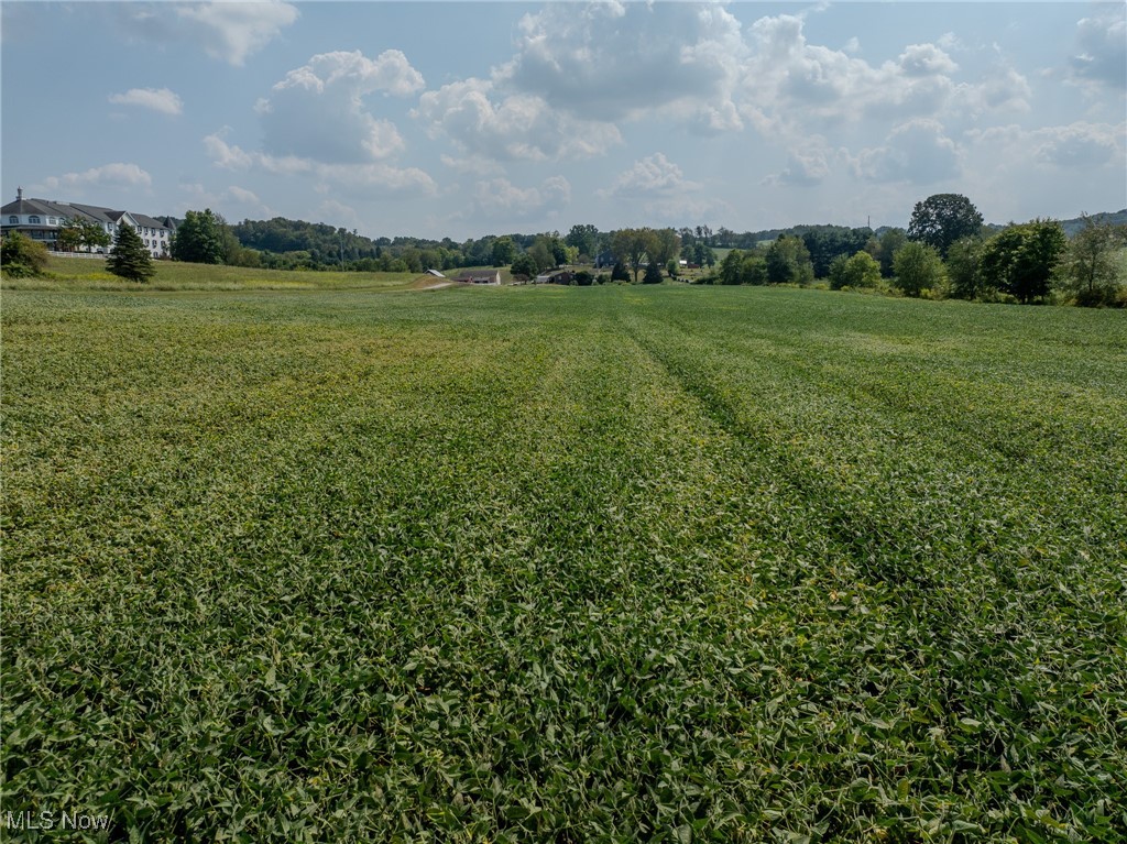 Navarre Road, Wilmot, Ohio image 5