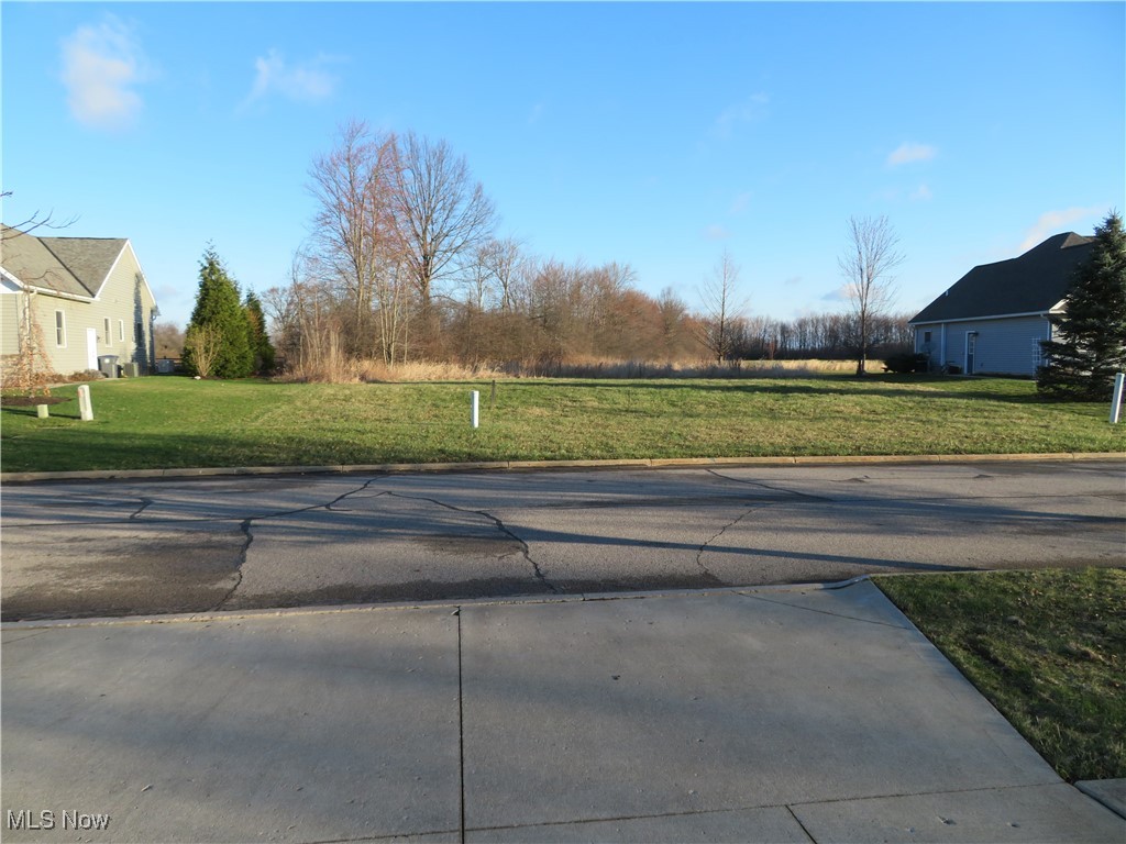 Spruce Drive, Oberlin, Ohio image 2