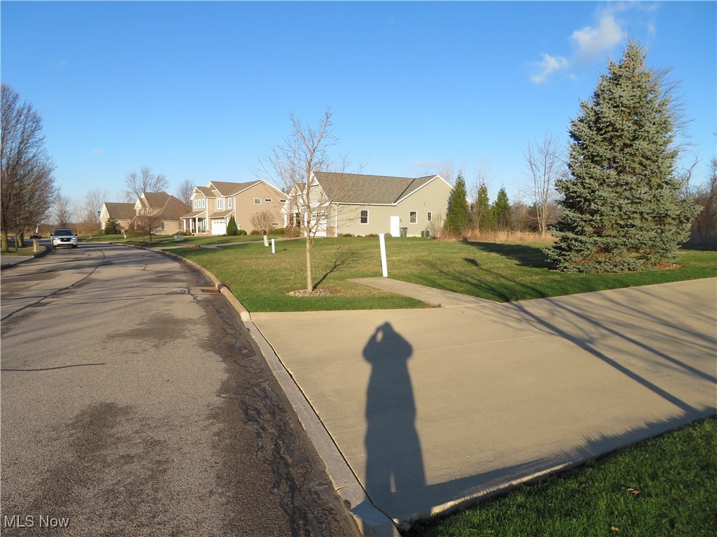 Spruce Drive, Oberlin, Ohio image 4