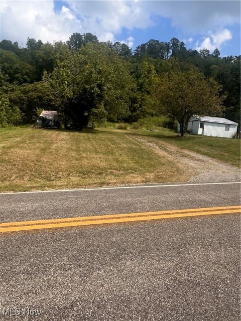 Tiny photo for 44885 Road Fork Road #44885, Caldwell, OH 43724 (MLS # 5163565)