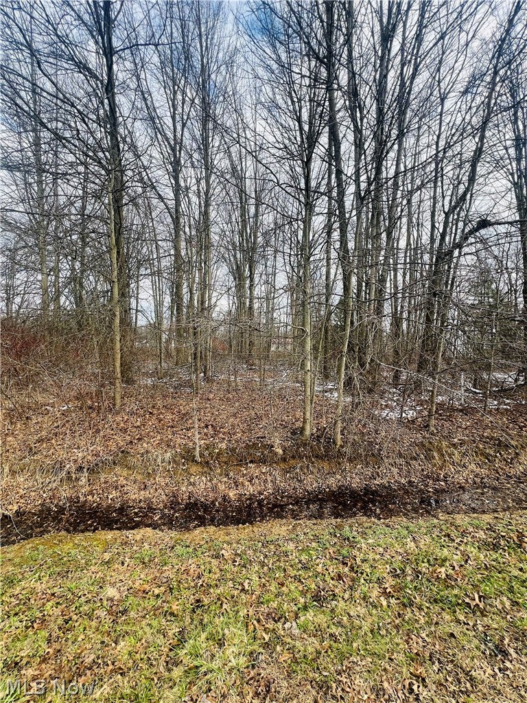 Lot 113 Breezewood Lane