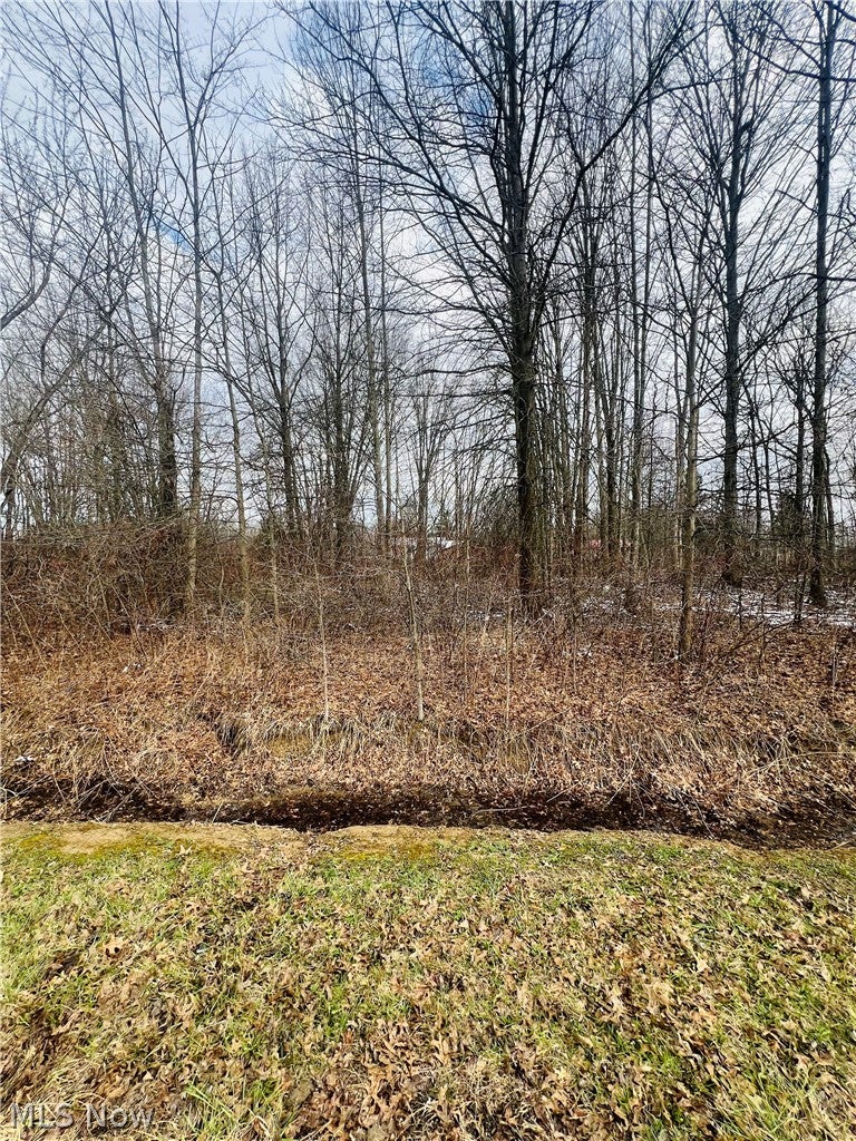 Lot 113 Breezewood Lane
