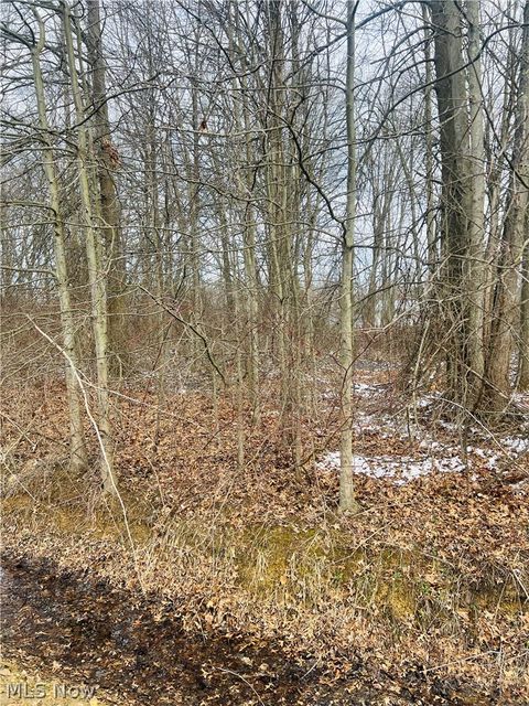Vacant Land For Sale - LOT 113 Breezewood Lane<br/> Ashtabula County, Orwell, OH 44076
