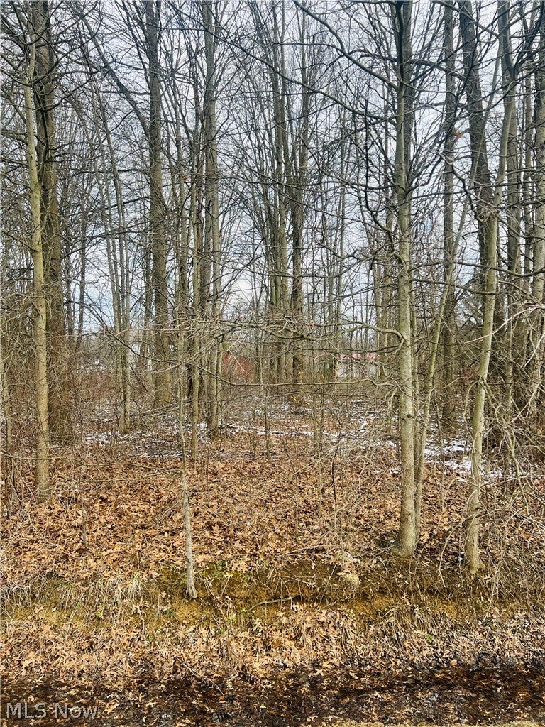 Lot 113 Breezewood Lane