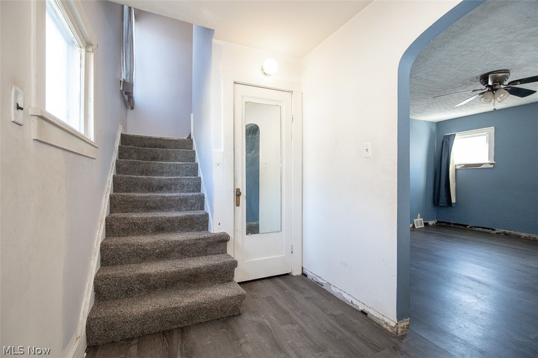 Frst Lawn - Residential