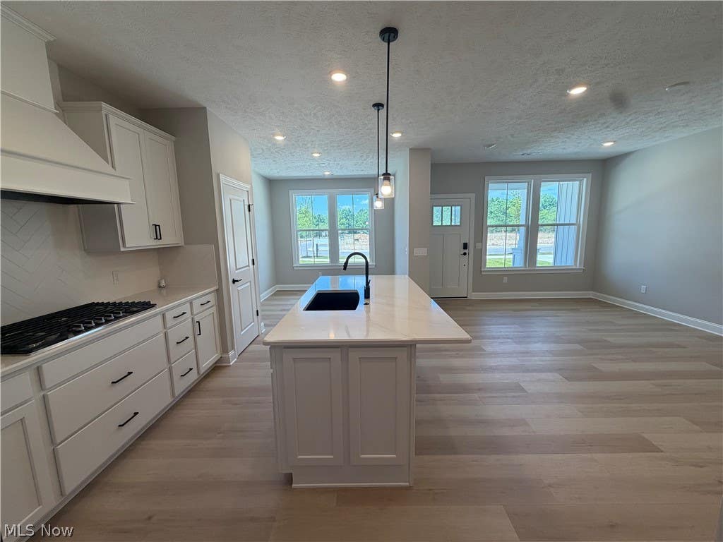 Photo of 16 Paige Lane, Hudson, OH 44236 (MLS # 5225526)