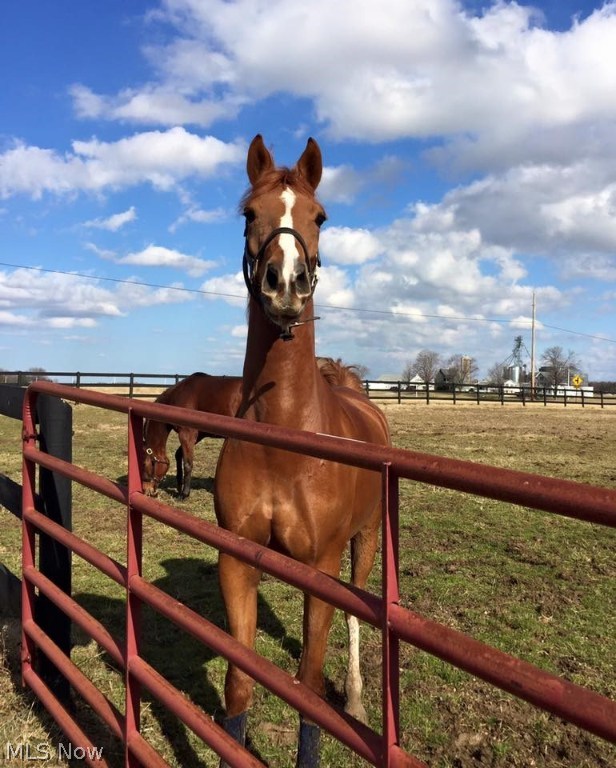 Wellington - Residential