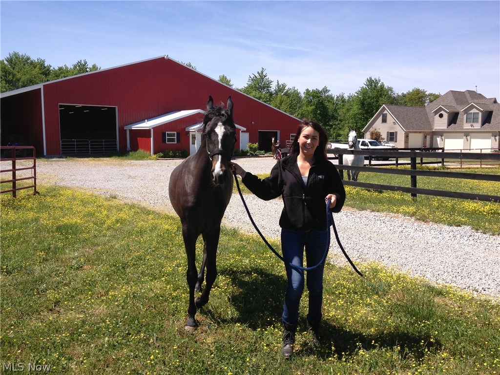 Wellington - Residential