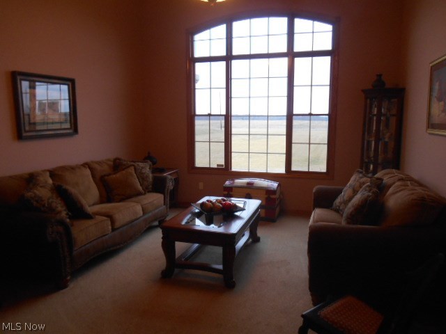 Wellington - Residential