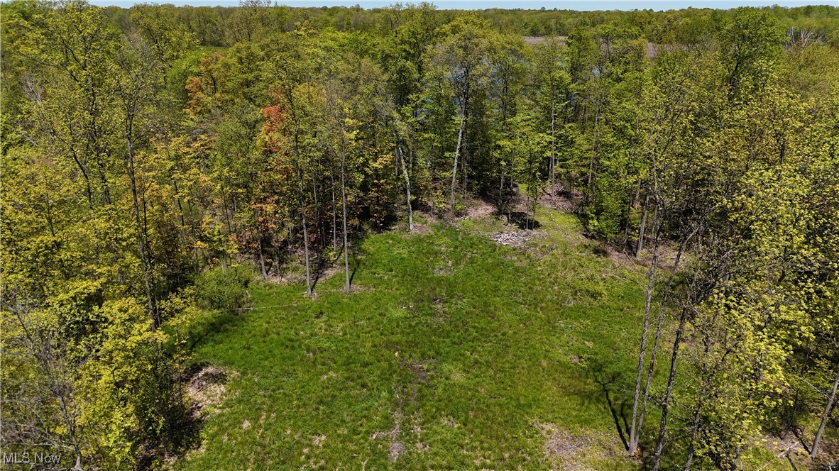 16050 Chardon Windsor Road, Huntsburg, Ohio image 3
