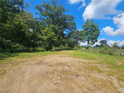 Vacant Land For Sale - 9144 Lodi Road<br/> Lodi, OH 44254