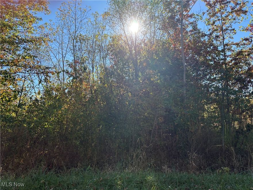 Property of .70 acre consists of 5 lots (4 facing Pearl Avenue; 1 facing Maple Road but all are connected). In a Light Industrial Zone 1 area.  Utilities and Public Water/Sewer at the street.  Call Lorain City Zoning Department to find out what kind of business is allowable on this land.