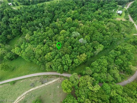 Tatman Road Uhrichsville OH 44683