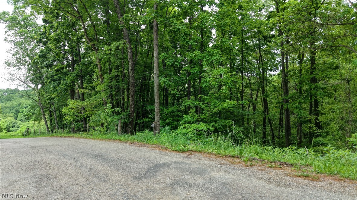 Tatman Road