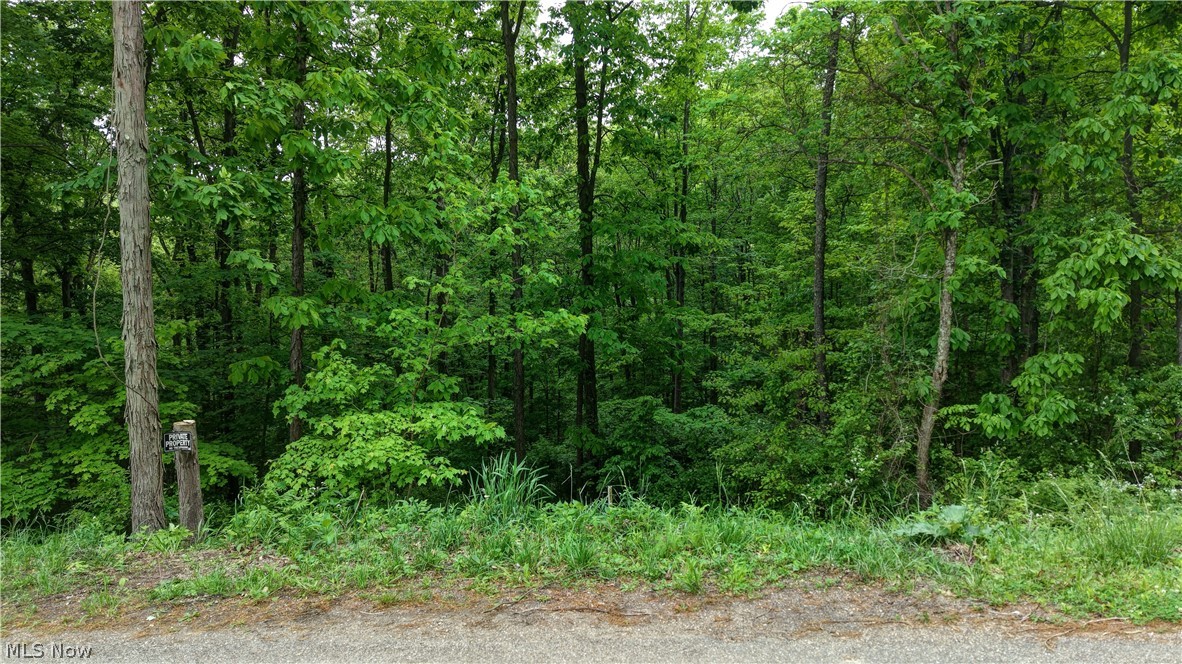 Tatman Road