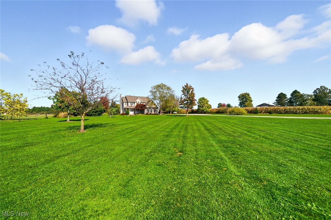 Medina - Residential