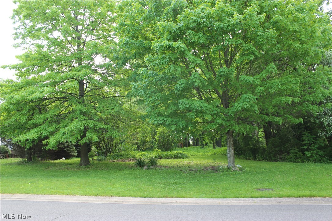Rare opportunity to own this beautiful .68 acre wooded lot in Wellington Woods! Located on the cul-de-sac of Timberlane Street, this prime lot offers a perfect spot for your dream home in it's own little wooded oasis. The neighborhood has underground utilities (gas and electric) and water and sewer are available at the street. This lot is located in Plain Township and Plain Local Schools and is surrounded by well cared for, established homes. Nearby are 3 Plain Township Parks (Alpine, Diamond and Veterans Park), which includes a wide variety of outdoor recreation, picnic shelters, walking paths, splash pad, dog park and so much more. Stark Parks walking paths are also nearby, as well as Gervasi Vineyard. The property is also close to the schools and is in a well established, desirable neighborhood. Convenient to both interstate access, along with shopping and restaurants. This is a property you won't want to miss.
