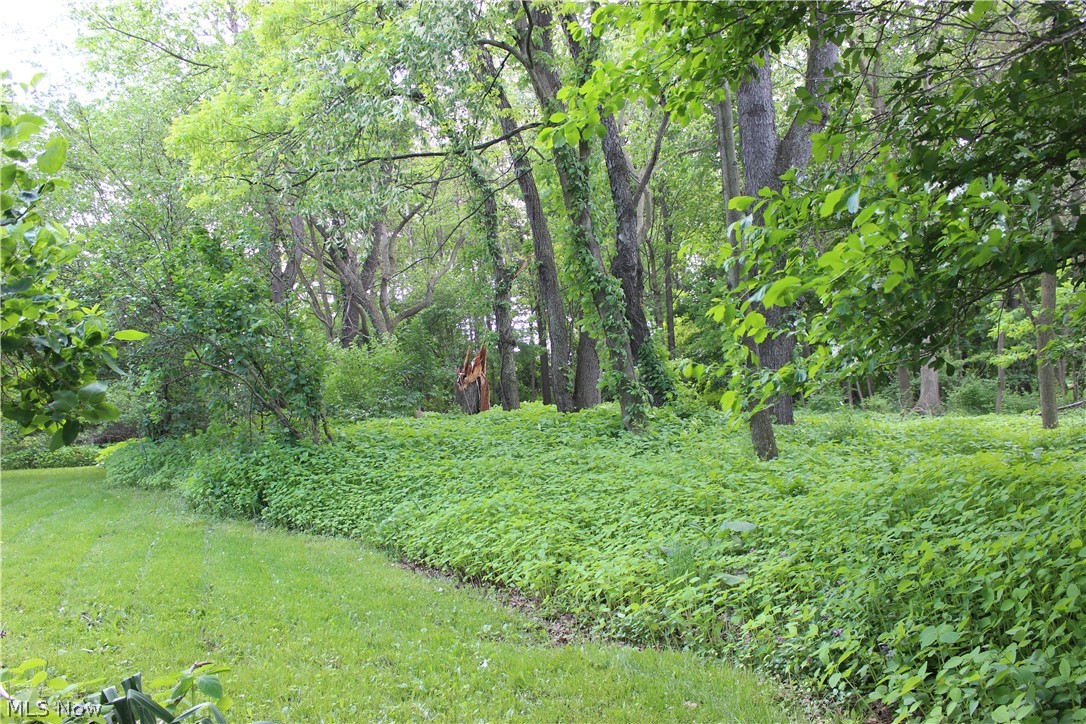 Wellington Woods - Land