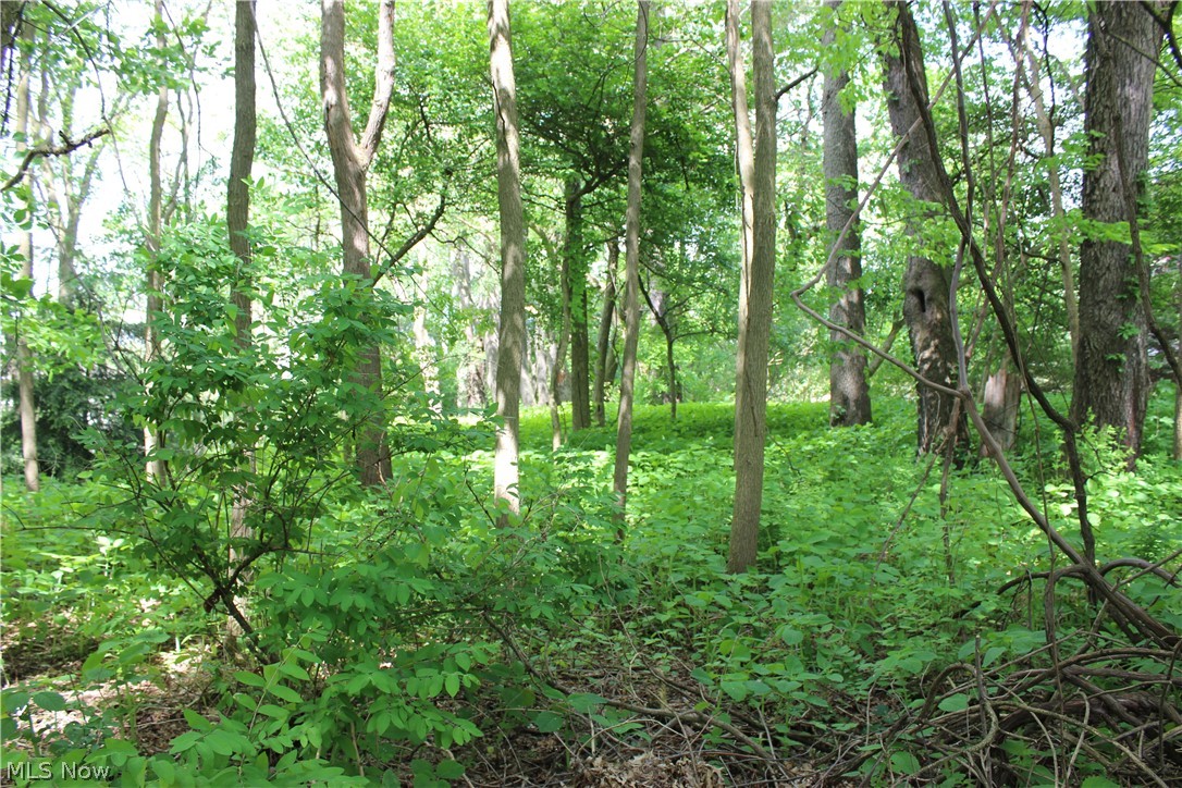 Wellington Woods - Land