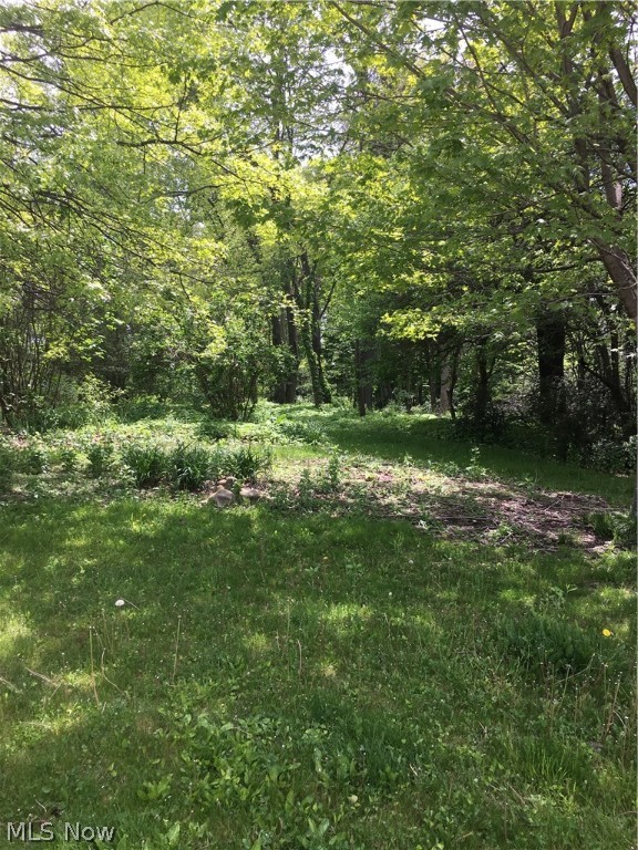 Wellington Woods - Land