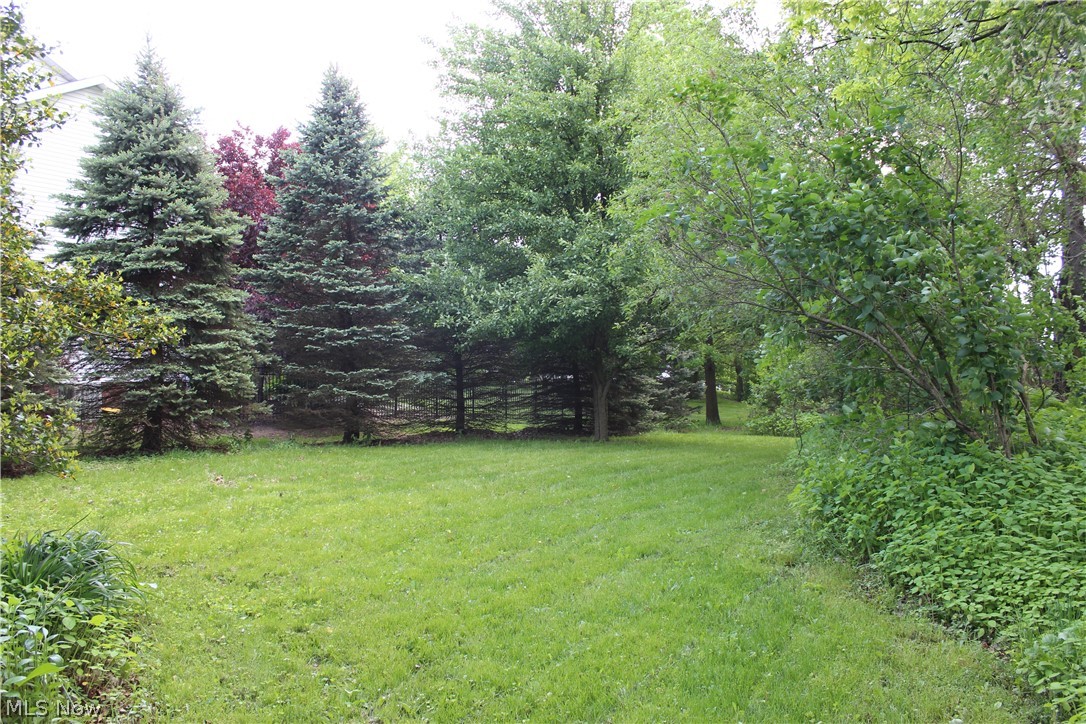 Wellington Woods - Land
