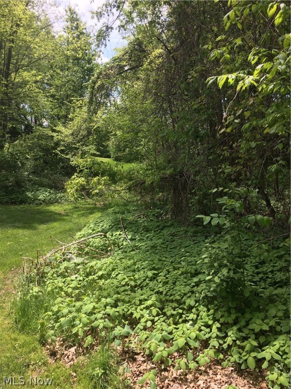 Wellington Woods - Land