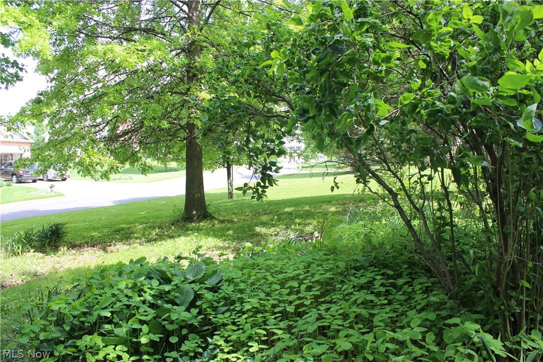 Wellington Woods - Land