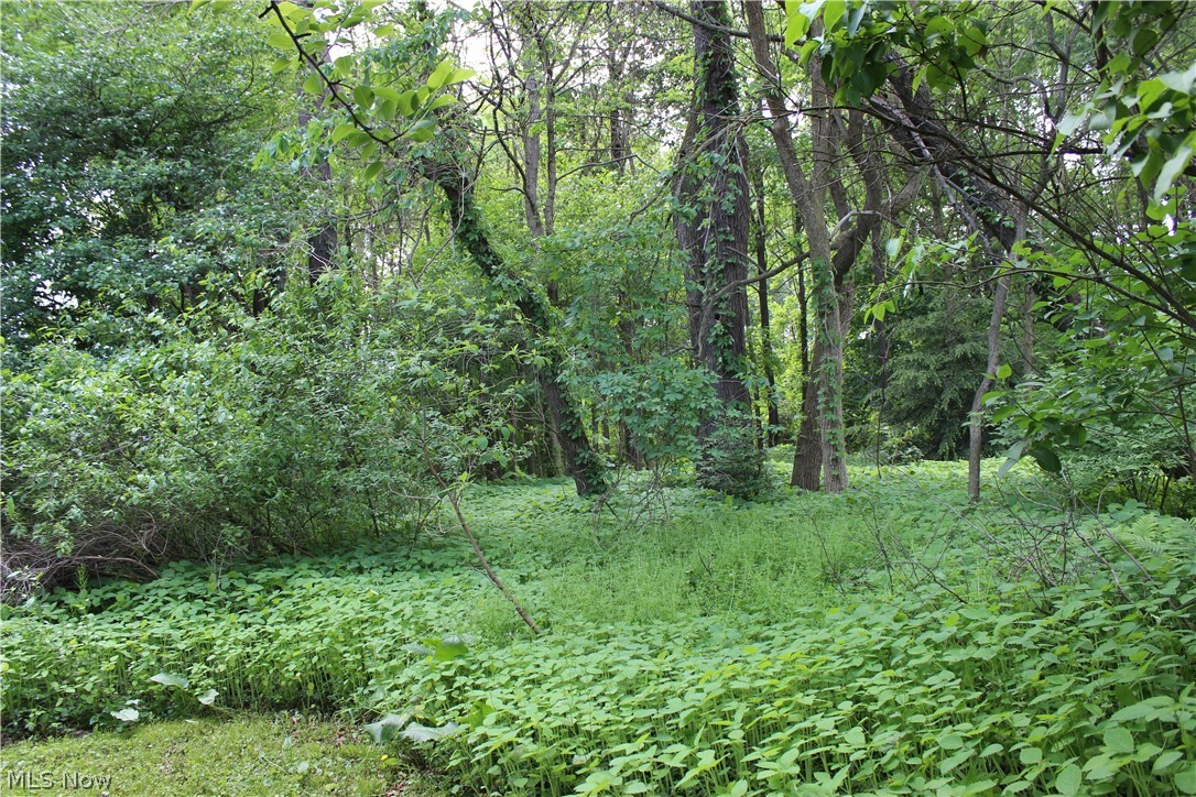 Wellington Woods - Land
