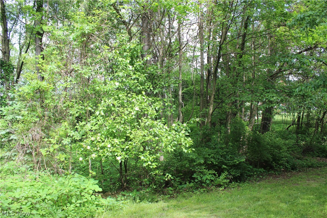 Wellington Woods - Land
