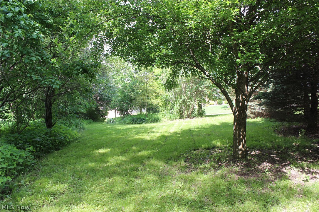 Wellington Woods - Land