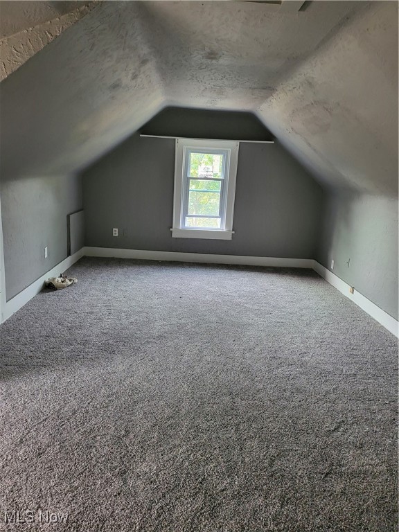 Shadyside Allotment - Residential