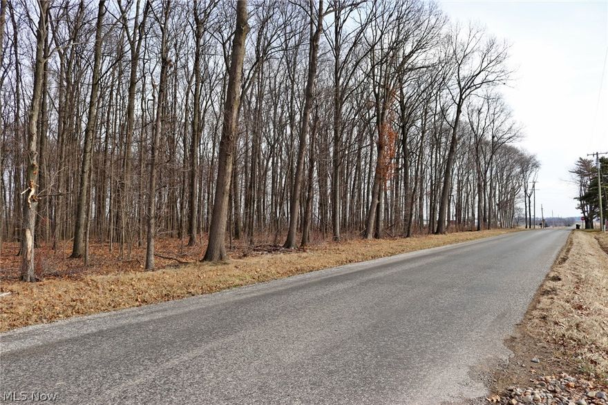 Very nice wooded lot in Norwayne S.D.  Bring your owner builder.  1500 sq. ft minimum on any style of home.  Perc test were completed in 2005.  Lot has never been timbered.