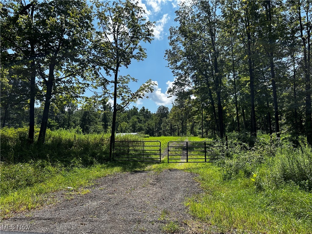 48+ Acres in Maysville School District – Escape to your own private retreat while staying close to local conveniences. This stunning property features rolling, mostly wooded terrain with established trails—ideal for hiking, riding, or simply exploring nature. Wildlife is abundant, making it a hunter’s or outdoor enthusiast’s dream, complete with a box blind already in place. A 37x40 pole building (built in 2019) offers ample storage for equipment, gear, or workshop needs. Public water is available.