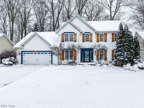 Homes For Sale - 1110 Woodglen Circle<br/> Medina County, Medina, OH 44256