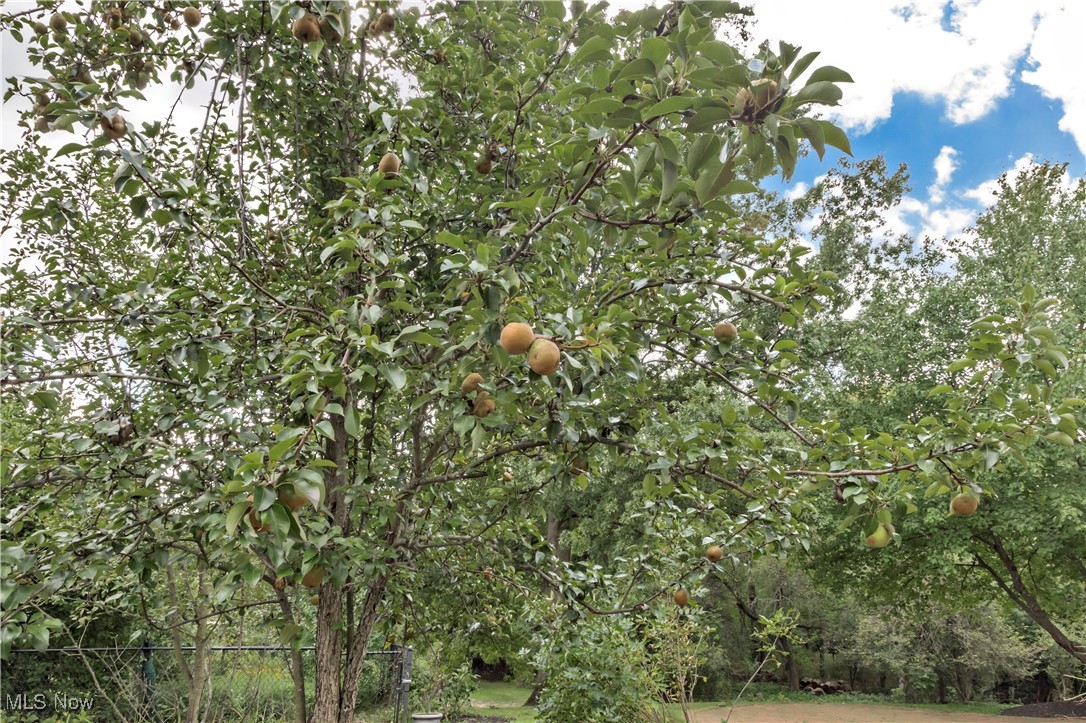 Shakerbrook Estates 01 - Residential