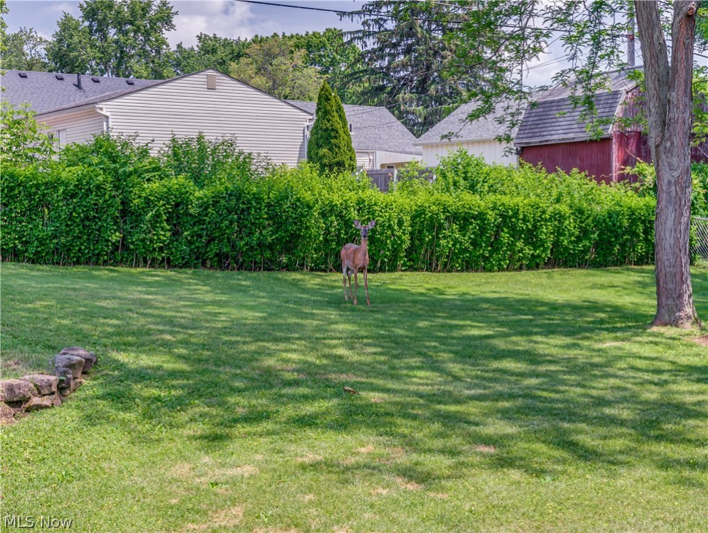 North Moreland - Residential