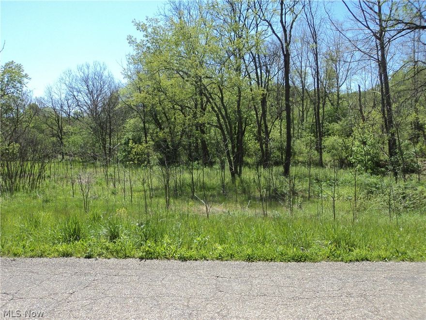 A little imagination and you can make it your own great lot. A house was on the property and was torn down October 2017. Existing well and septic on
property-condition and age unknown. 5 Minutes from all amenities. Out of the city limits.
