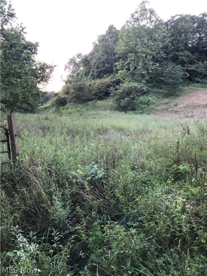 Are you looking to build your dream home in a quiet section of Newport Acres? At almost 4.5 acres, this
could be the home-site you have been dreaming of. Give Alissa a call to schedule your showing today!