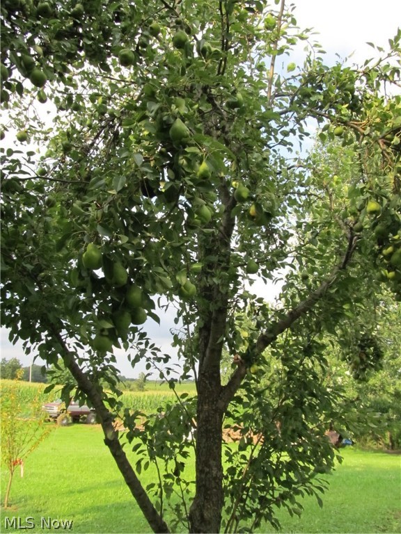 Swc Allot - Residential